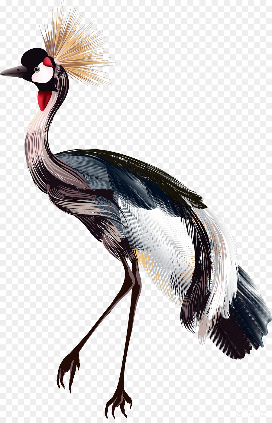 900x1400 Crane Bird Drawing Watercolor Painting
