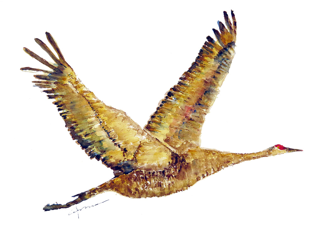 1000x750 Crane In Flight Watercolor Painting Claudia Hafner Watercolor