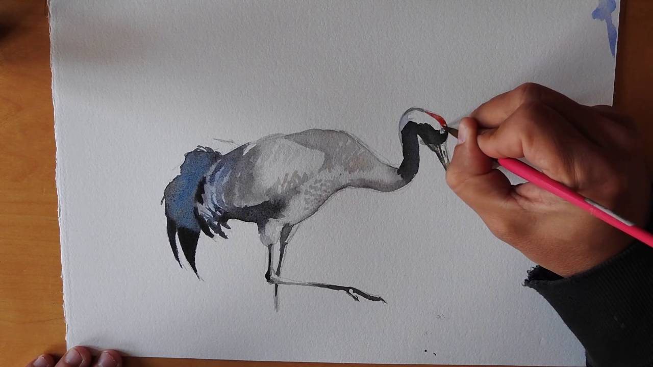 1280x720 Crane Watercolour