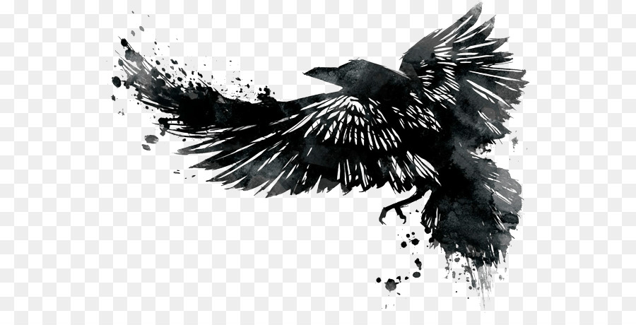 900x460 Xt Brewing Company Tattoo Ink Tattoo Artist Common Raven