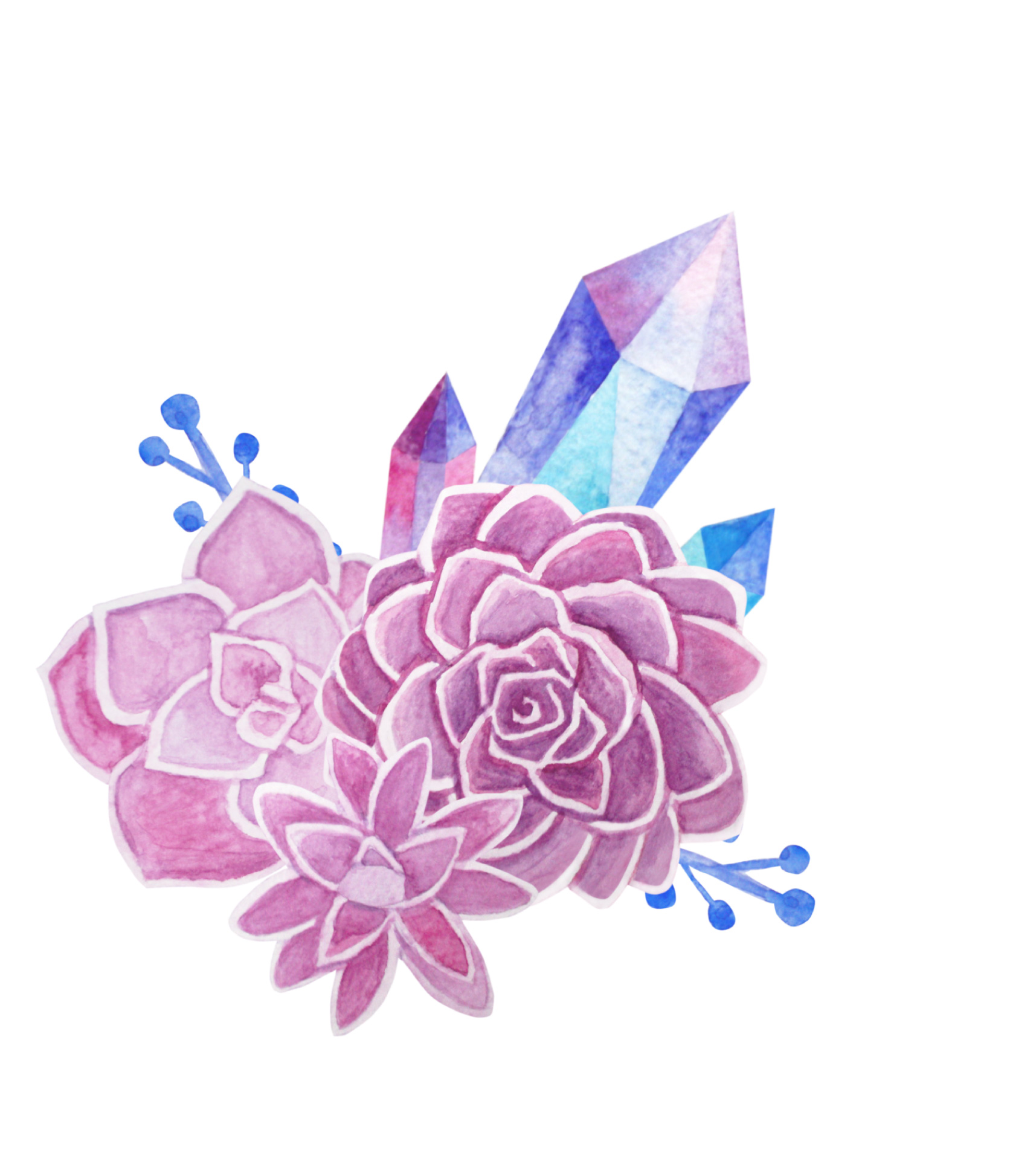 1715x1936 Succulents And Crystals Watercolor