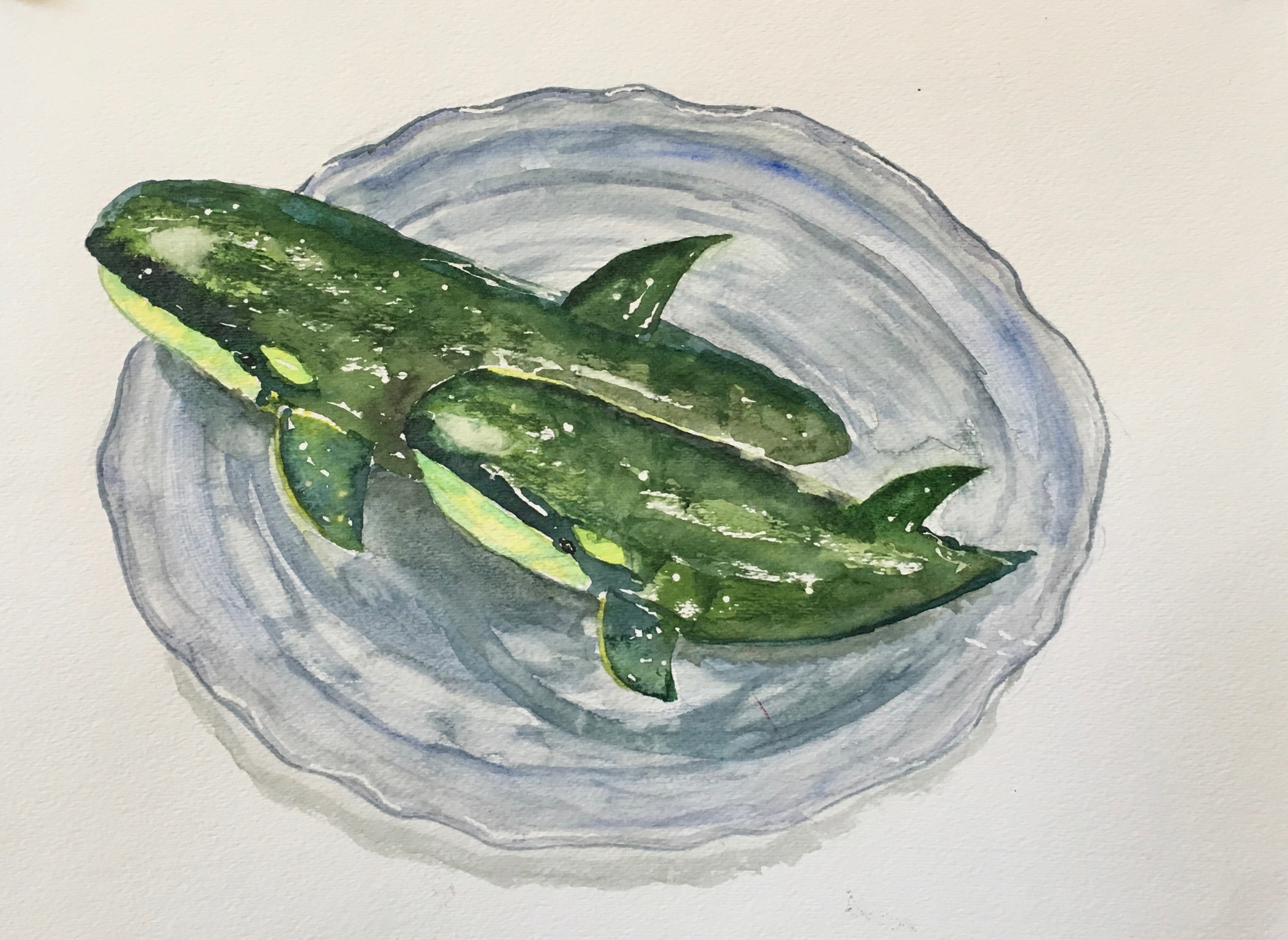 3146x2298 Painting Food In Watercolor Cucumber Orcas Hankinsonholmes