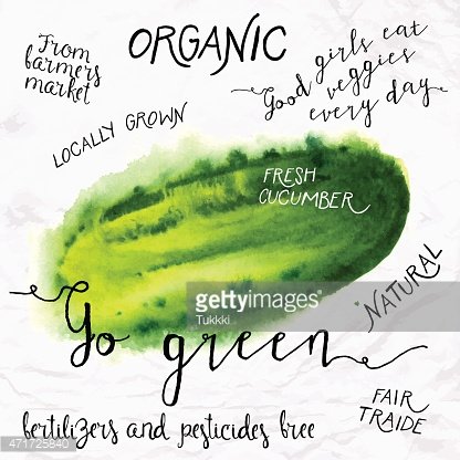 416x416 Watercolor Cucumber Premium Clipart