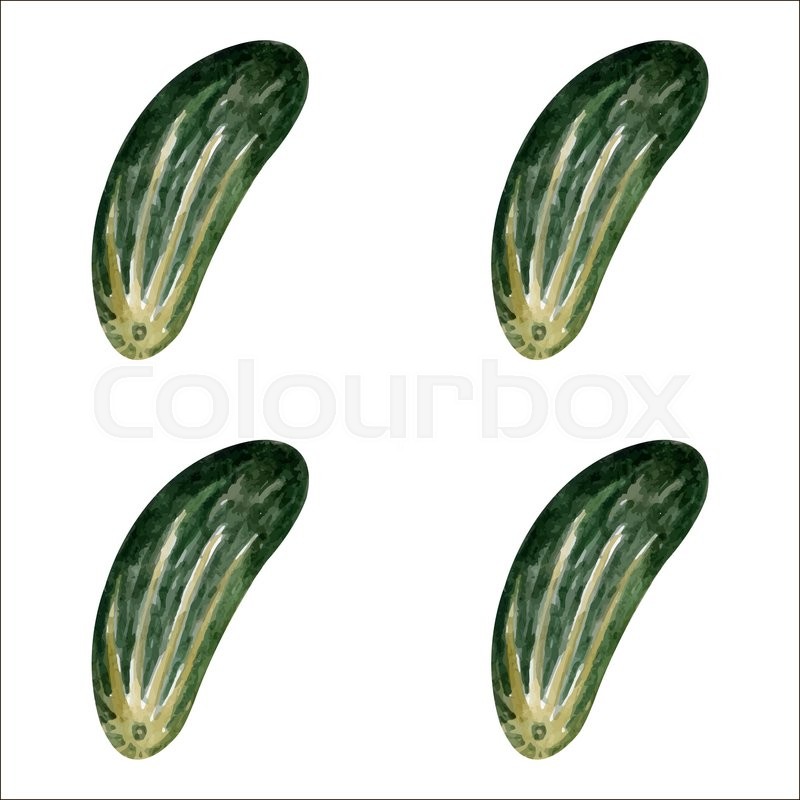 800x800 Watercolor Cucumber Seamless Pattern In Vector Stock Vector