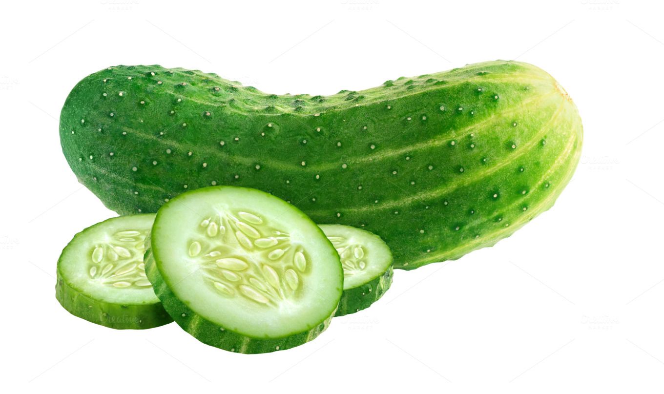 1360x807 Watercolor Cucumber