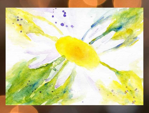 570x432 White Daisy Watercolor Painting Green Yellow Daisy Art