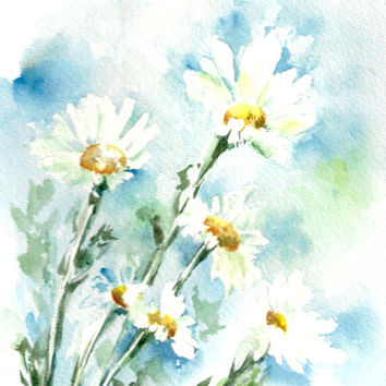 354x354 Daisy Flowers Art Print, Watercolor From Canotstopprints On Etsy