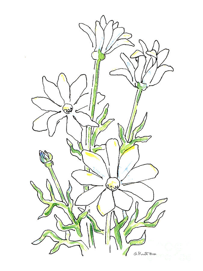 675x900 Daisy Watercolor Painting 3 Painting By Gordon Punt