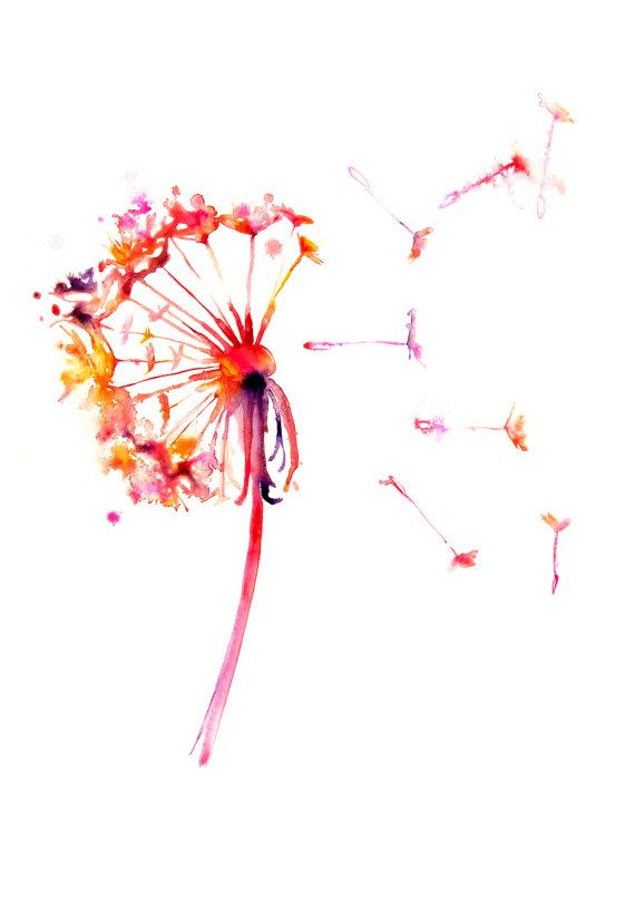 570x806 Dandelion Wall Poster Nature Watercolor Poster By Watercolormary