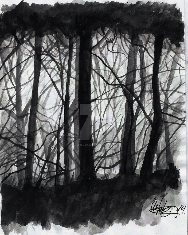 800x998 Dark Forest. Watercolor By Charly Resvil