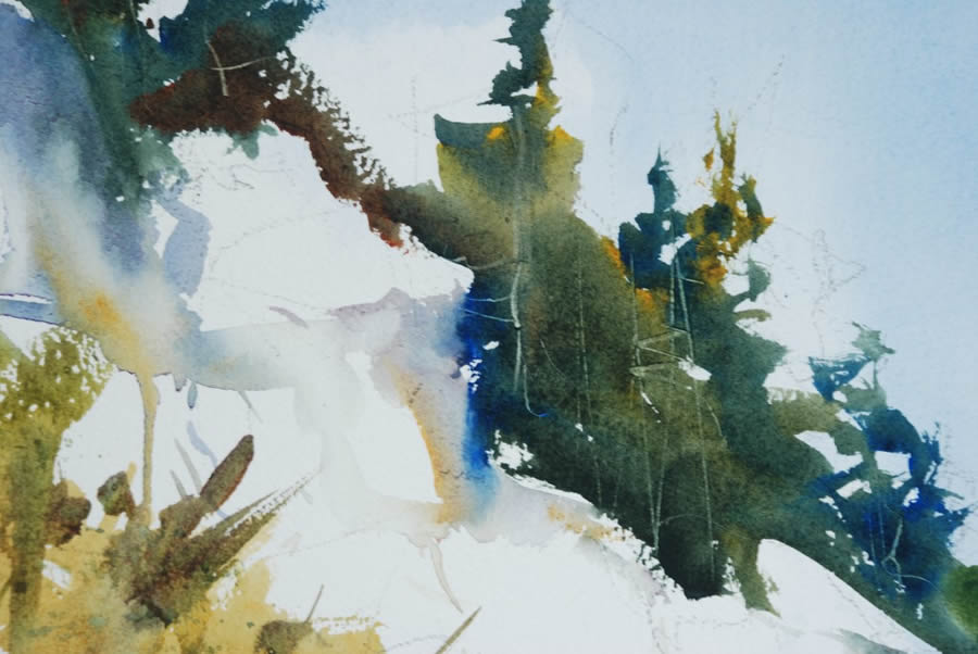 900x602 Watercolor Painting Lesson