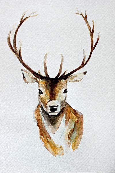 400x600 Gorgeous Deer Art Watercolour Artsy In 2018