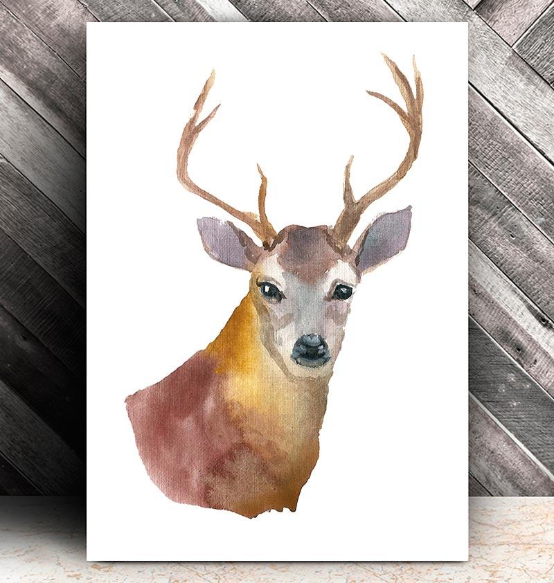 800x842 Deer Head Ii
