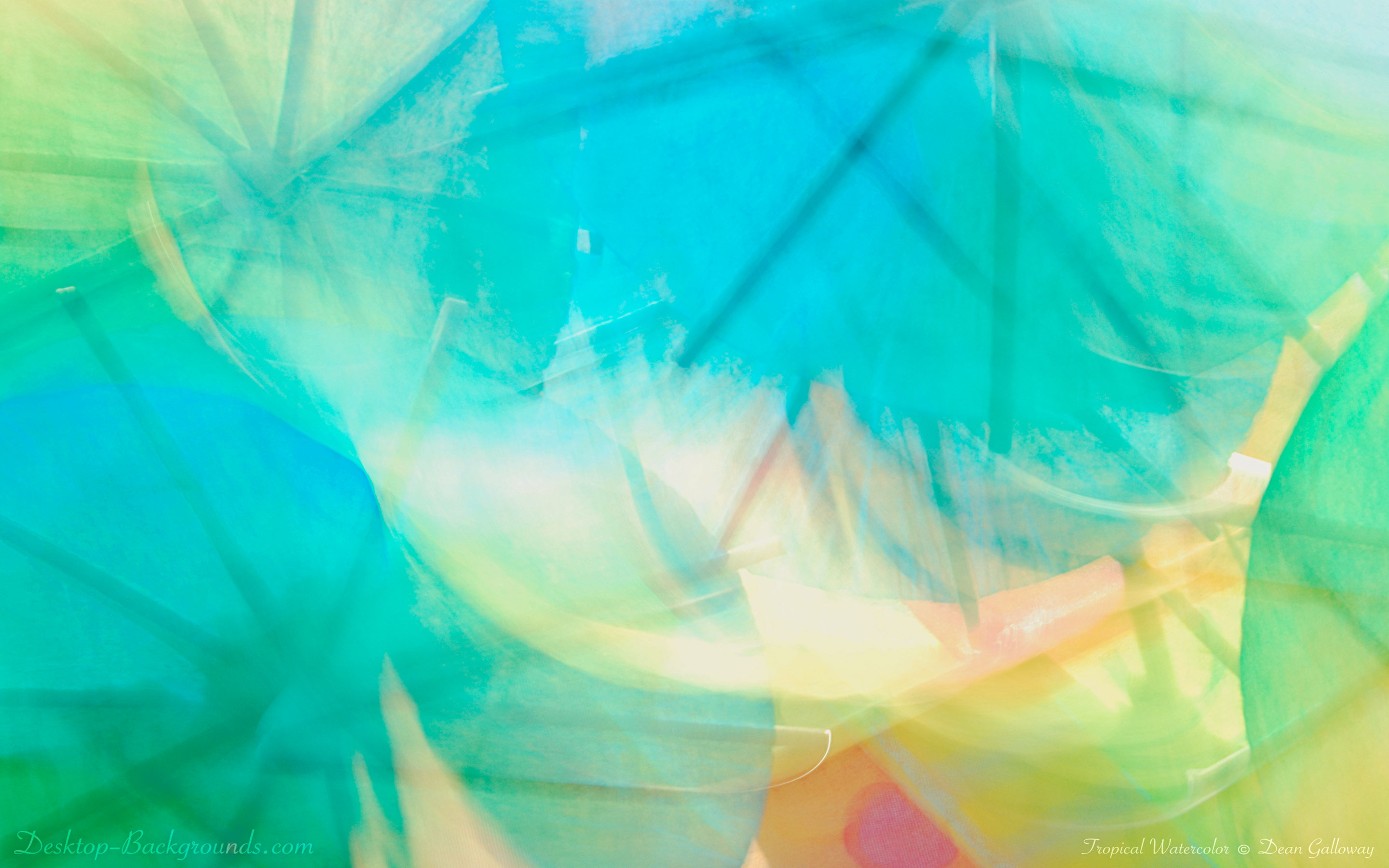 2880x1800 Tropical Watercolor ~ Desktop