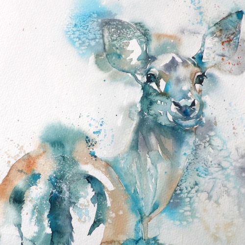 500x500 Liz Chaderton Doe, A Deer