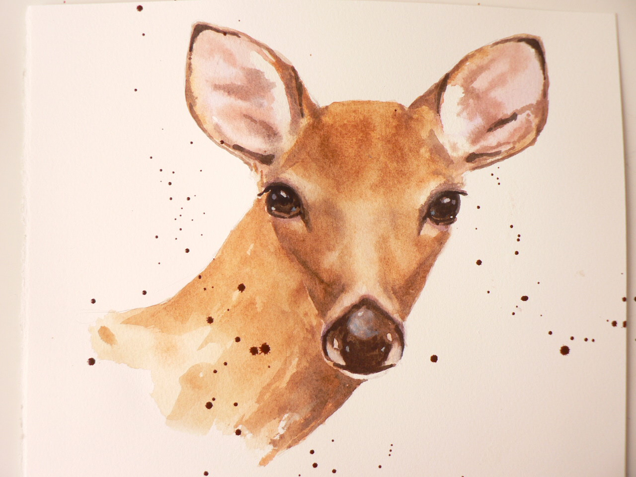 1280x960 Watercolour Demo Of A Doe For Ashley Alison Fennell Art