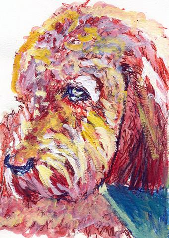 341x480 Poodle Painting,dog Art Print, Poodle Owner Gift,watercolor Dog