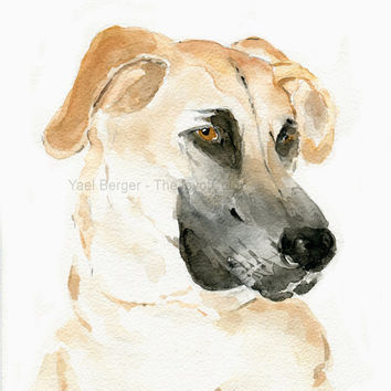 354x354 Best Pet Watercolor Portraits Products On Wanelo