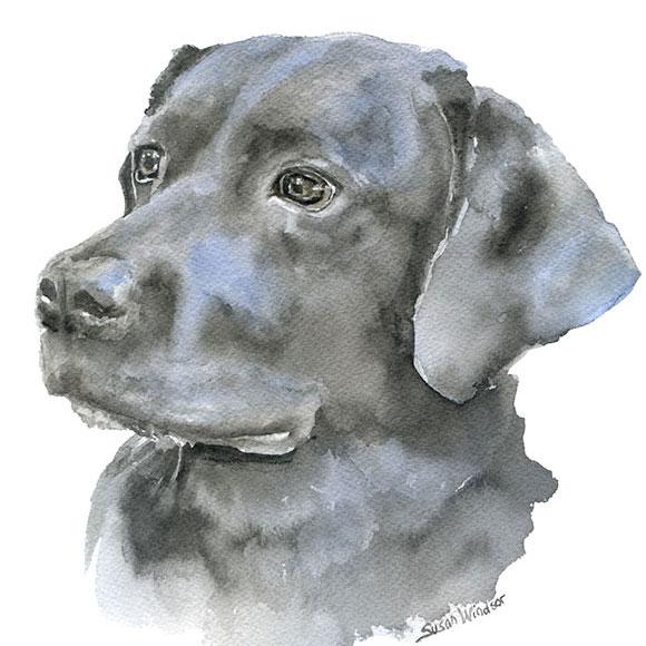 580x580 Custom Pet Portrait Watercolor Painting