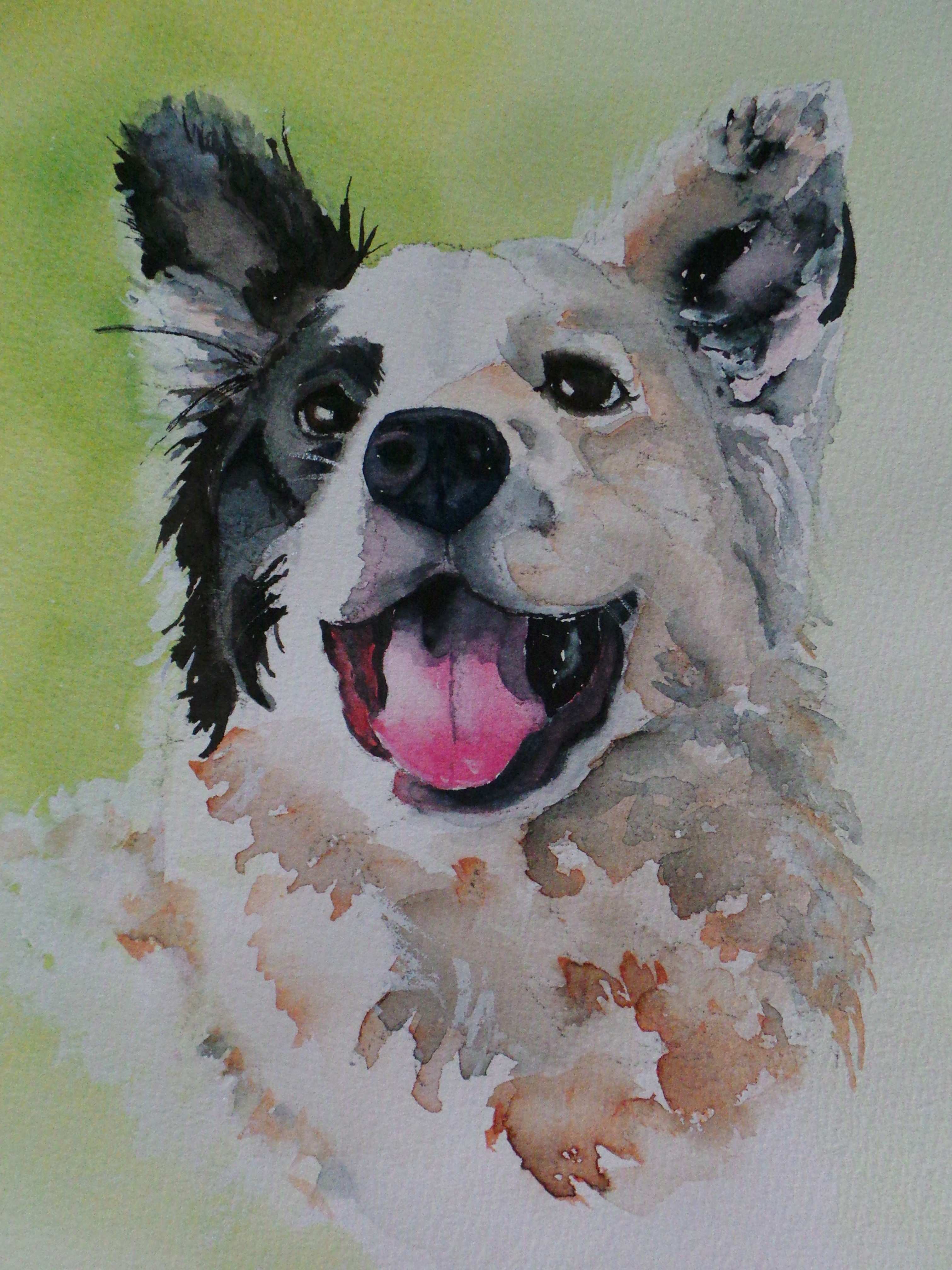 3022x4032 Dog Painting Awesome Annette Bennett Watercolor Art Painting Ideas