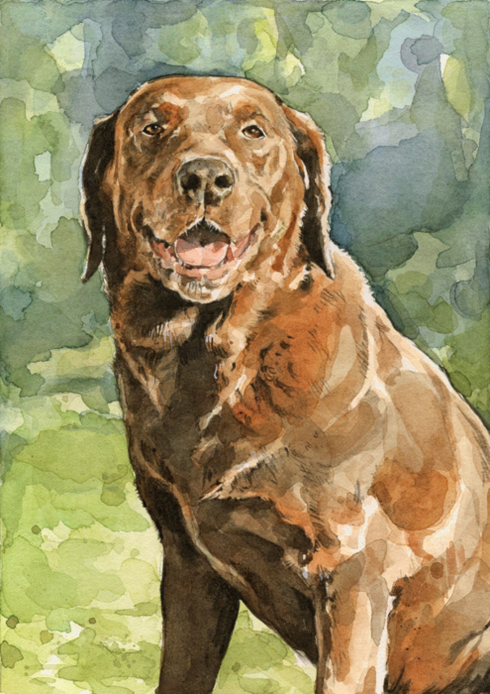 1600x2263 5x7 Custom Dog Watercolor Portrait David Scheirer Watercolors