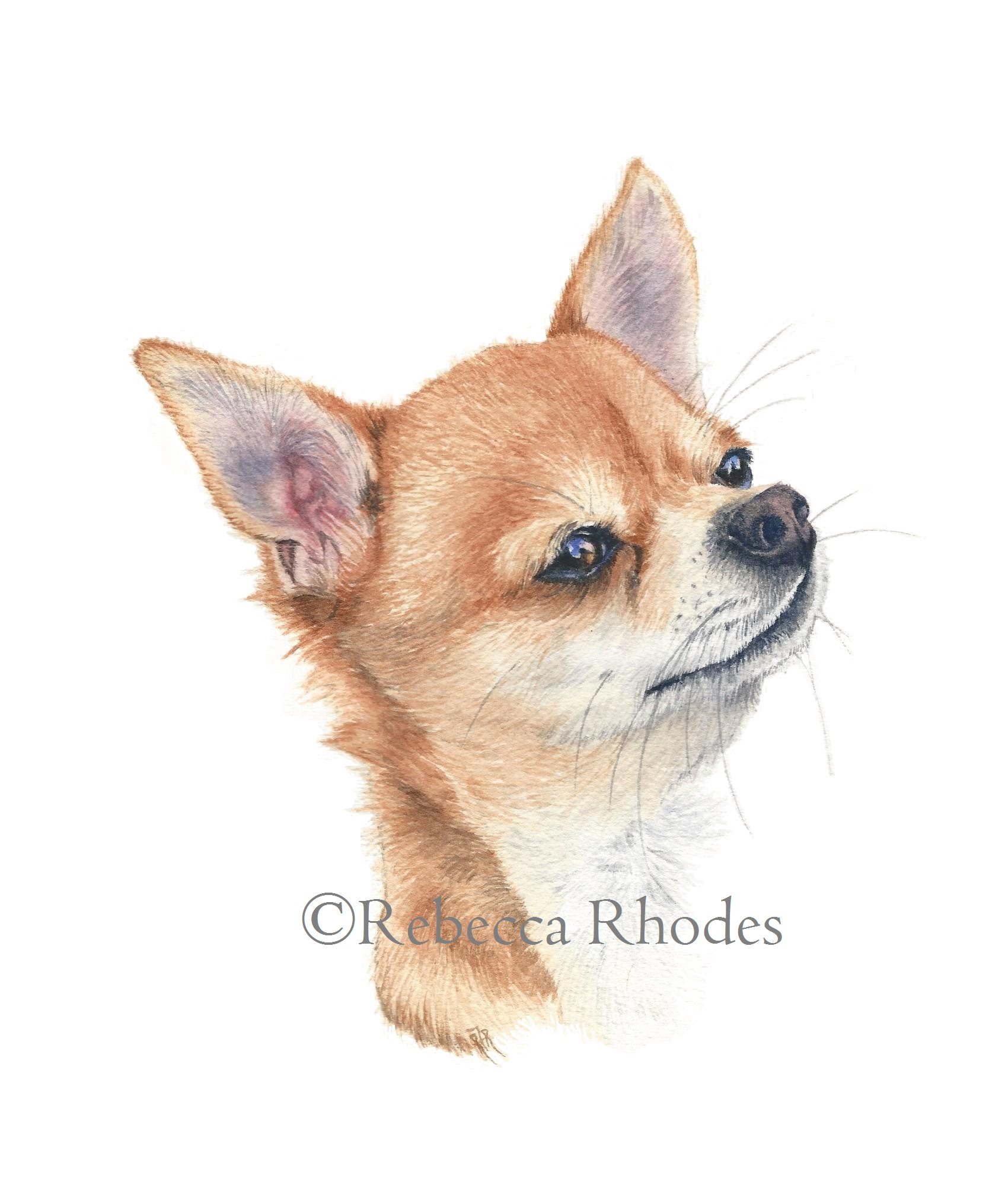 1700x2030 Watercolor Painting Tutorial