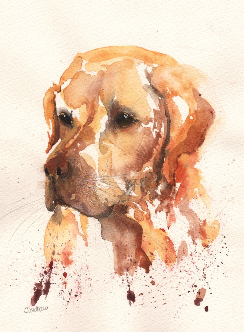 799x1088 Watercolour Dog Painting Art Watercolor, Dog