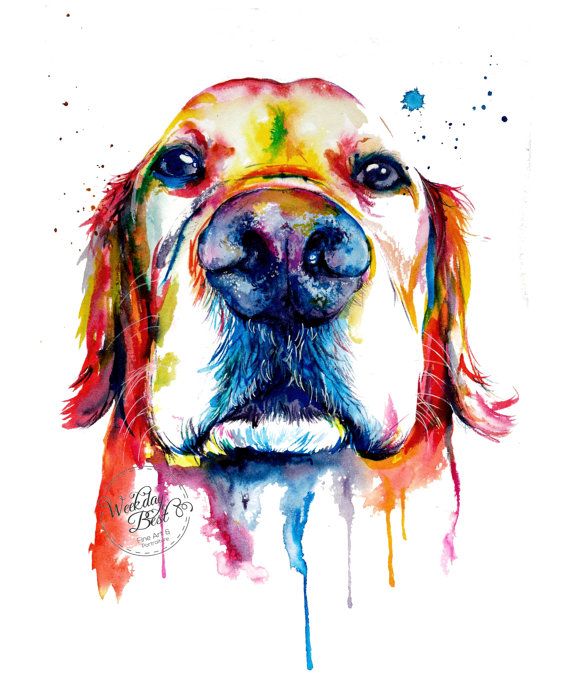 570x688 Colorful Golden Retriever Art Print