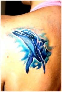 205x303 Image Result For Watercolor Dolphin Tattoos Tattoos