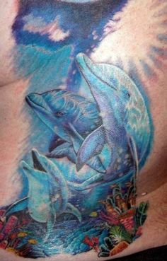 236x369 Pretty Dolphin Tattoos Dolphin Tattoo Picture 2 Dolphin Tattoo