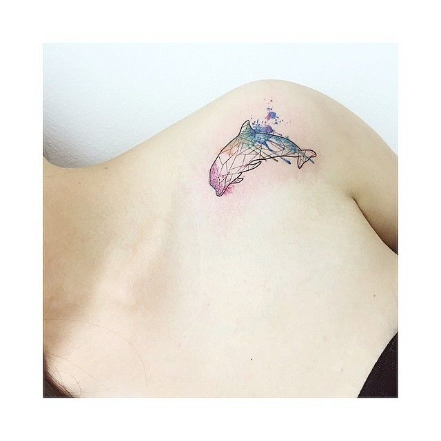 640x640 Geometric Dolphin . . . Close Up
