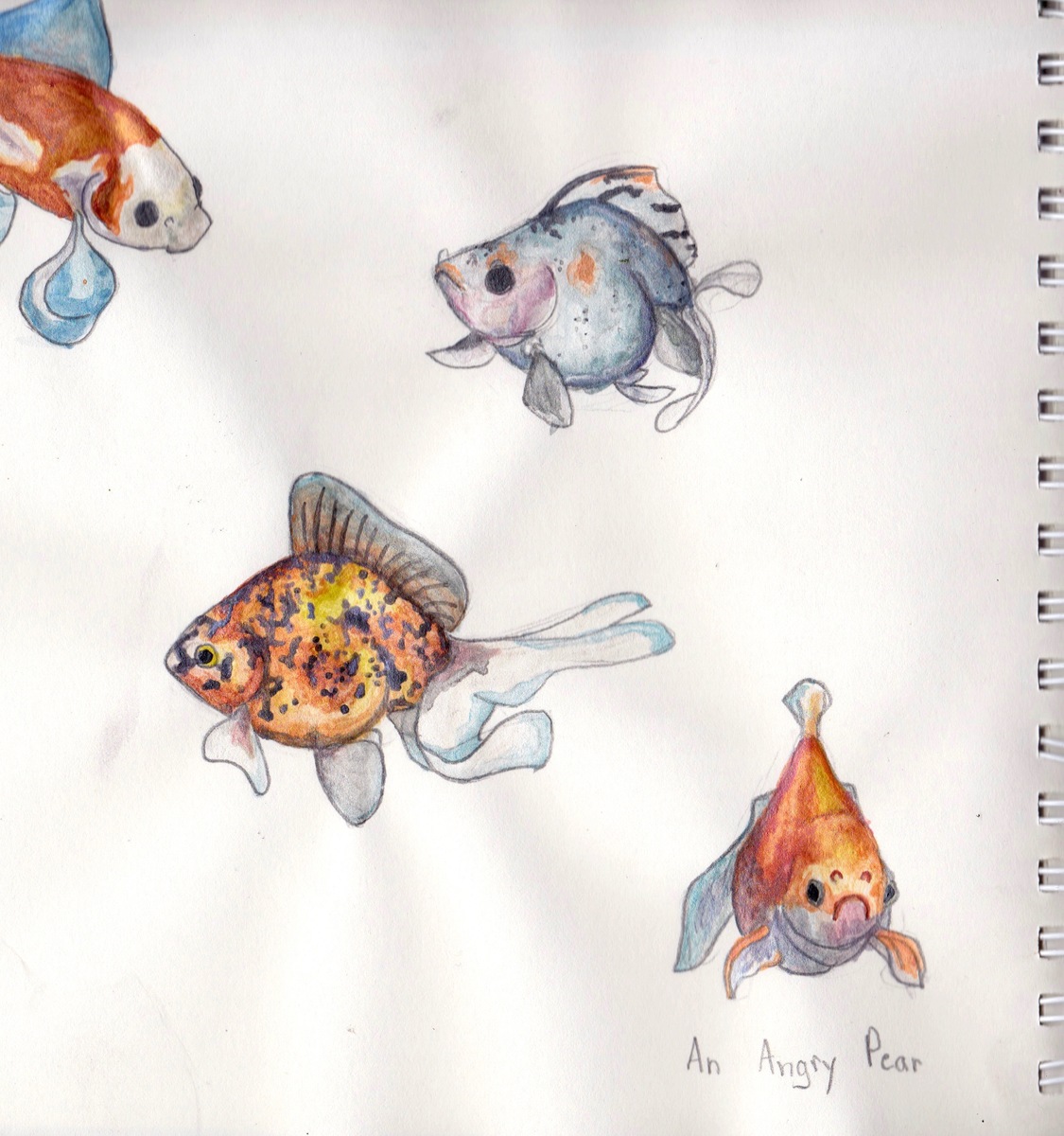 1125x1200 Watercolor Doodles