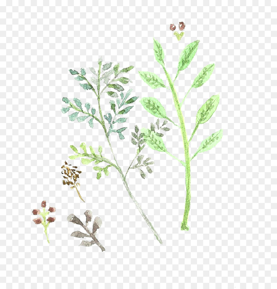 900x940 Doodle Leaf Drawing Watercolor Painting Sticker