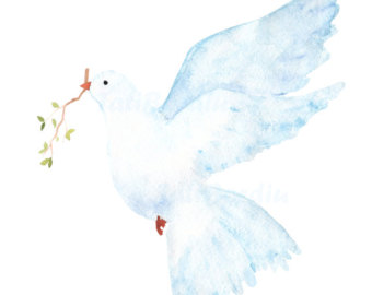 340x270 Dove Watercolor Etsy