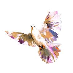 236x236 Image Result For Watercolor Dove Ideas Watercolor