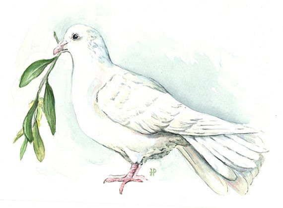 570x419 Watercolor Dove Modern Art In 2018 Watercolor
