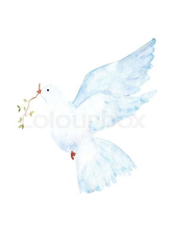 566x800 Watercolor Dove Clip Art Stock Photo Colourbox