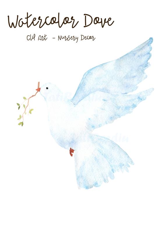 570x807 Watercolor Dove Clip Art Clipart Nursery Decor Digital Etsy