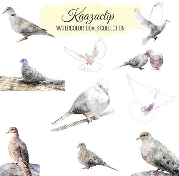 570x560 Watercolor Dove Collection Commercial And Personal Use Etsy