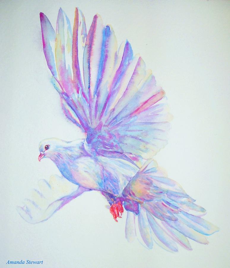 775x900 Watercolor Dove Study Painting By Amanda Hukill