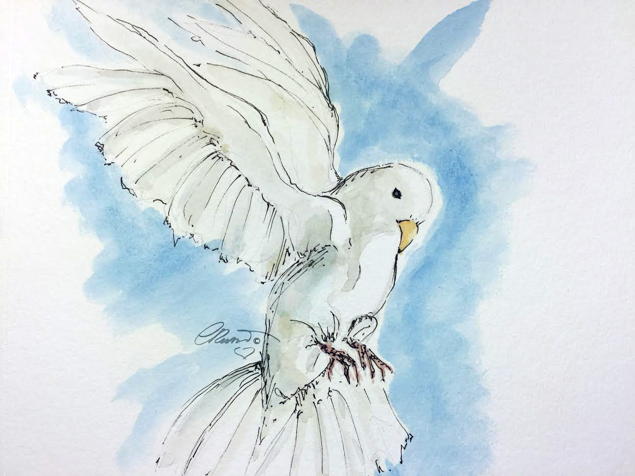 1245x934 White Dove