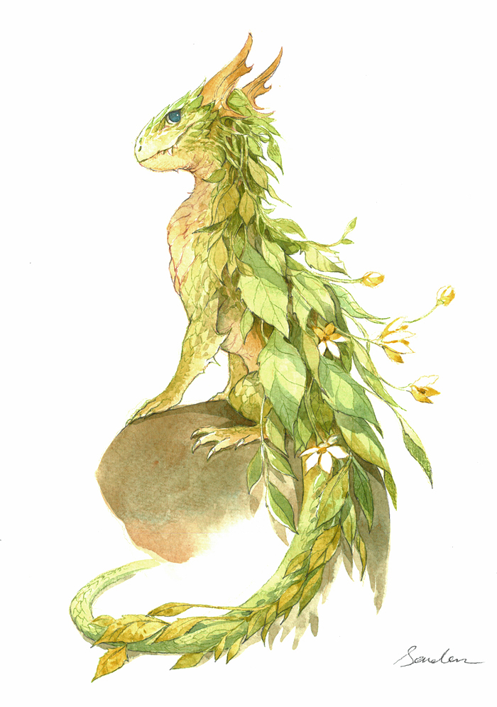 700x996 Watercolor Dragon 2 By Sandara