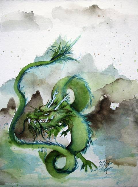 480x650 Chinese Earth Dragon By Shoshanna Bauer