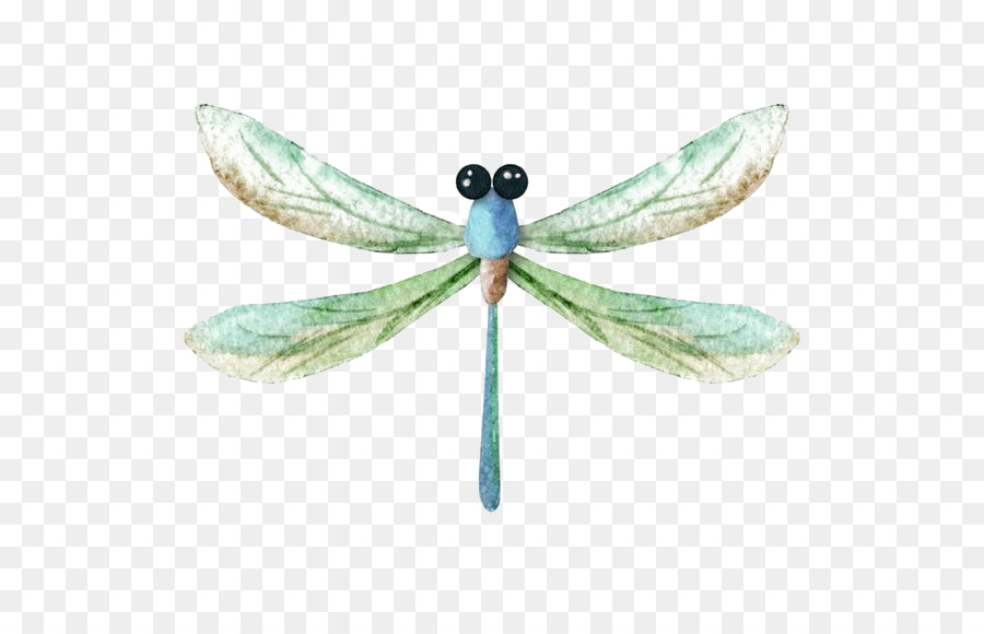 900x580 Dragonfly Watercolor Painting Icon