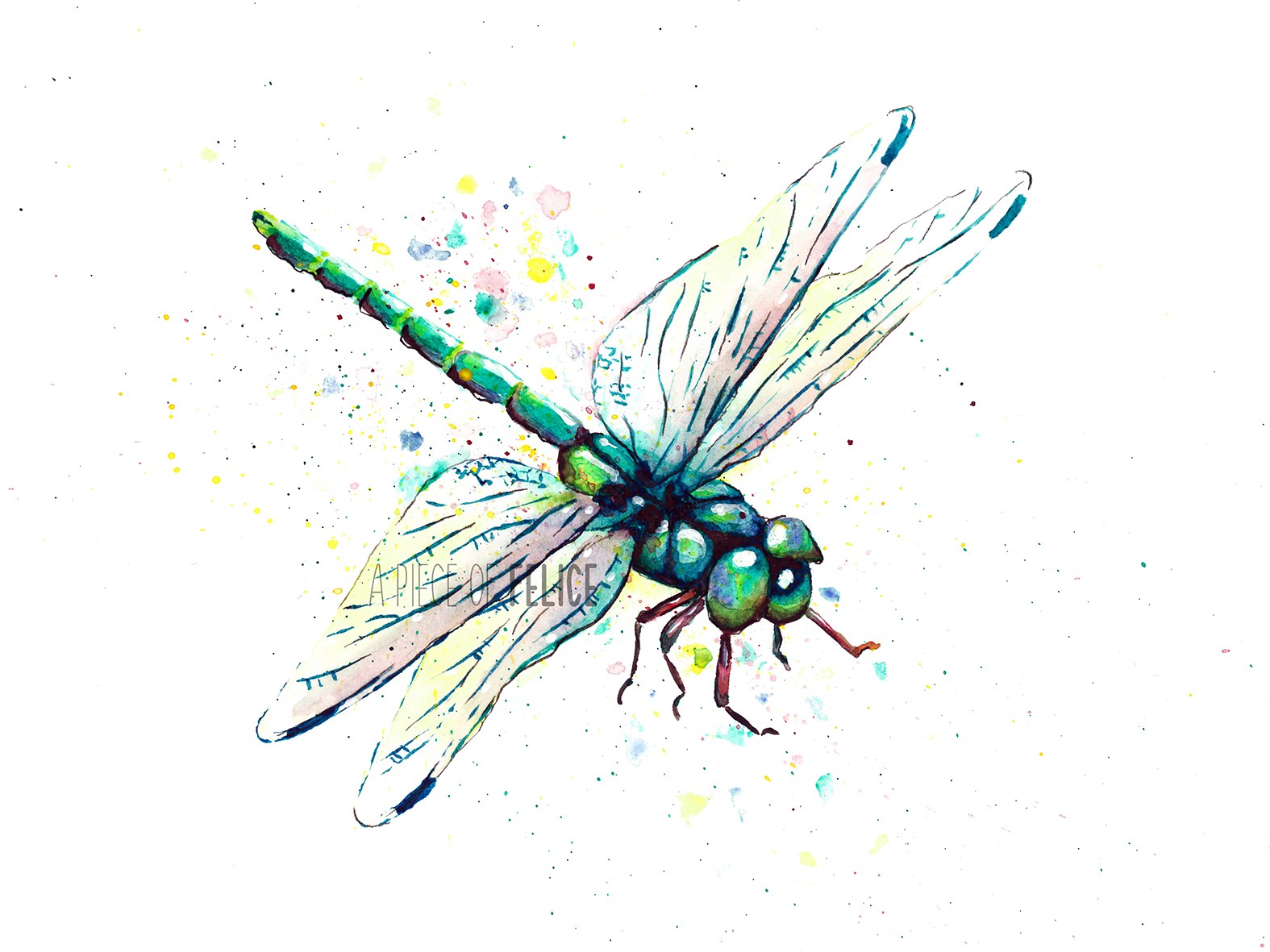 1575x1181 Dragonfly Watercolor Painting