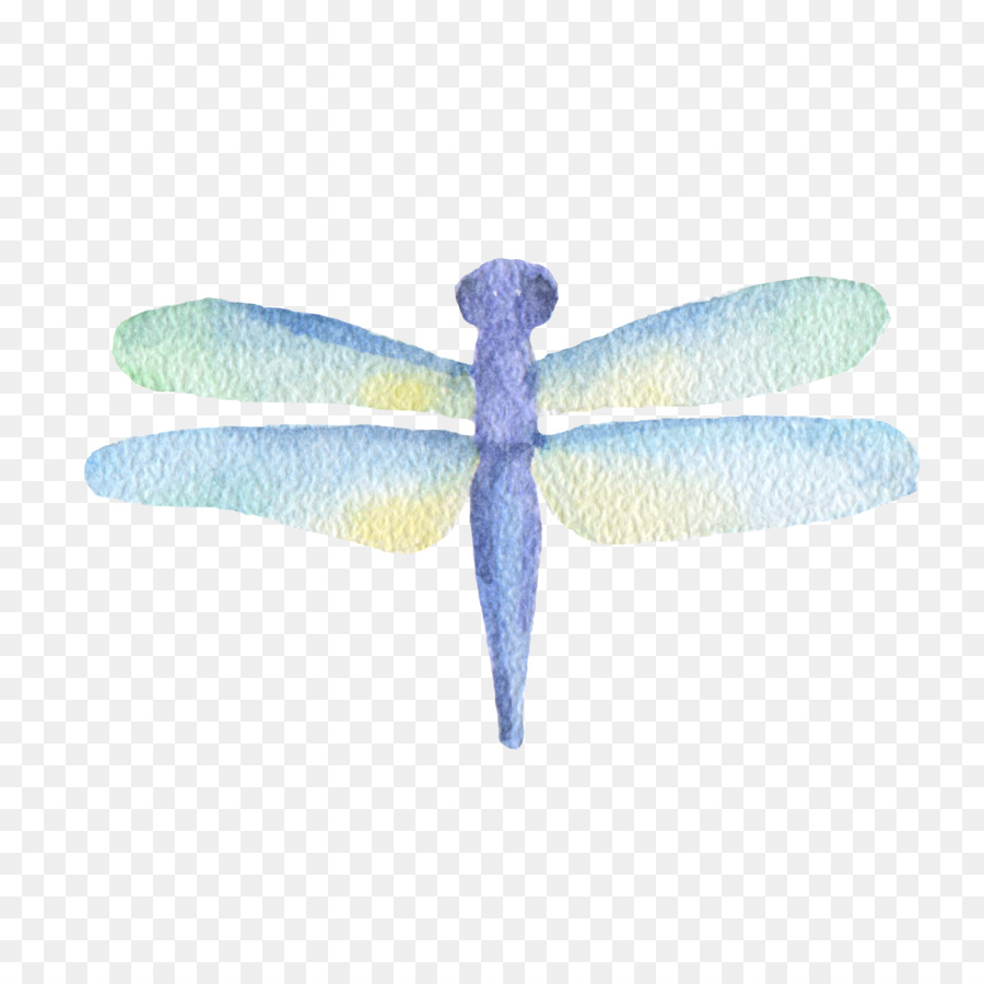 900x900 Insect Dragonfly Watercolor Painting
