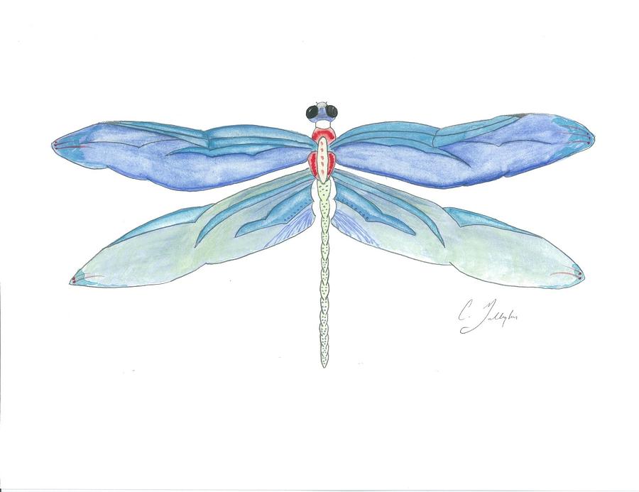 900x693 Original Dragonfly Watercolor Painting Painting By Christian Galligher