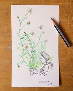 236x295 Megan Tennant Spirit Island