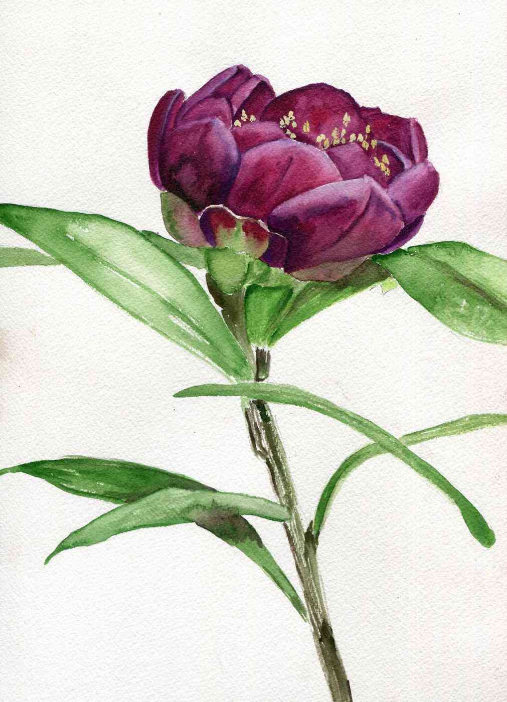 1011x1400 736x700 Girl Paintings Art Challenge Watercolor Painting Ideas