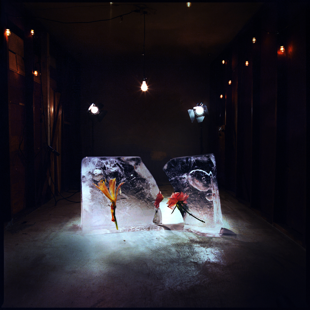 1000x1000 Shy Girls Watercolor Dreams Lyrics Genius Lyrics